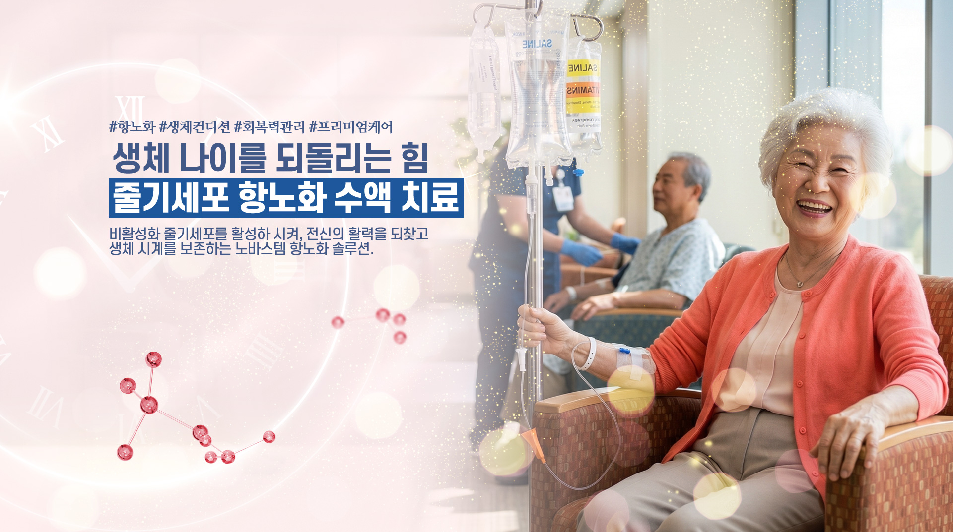 줄기세포 항노화 수액 치료